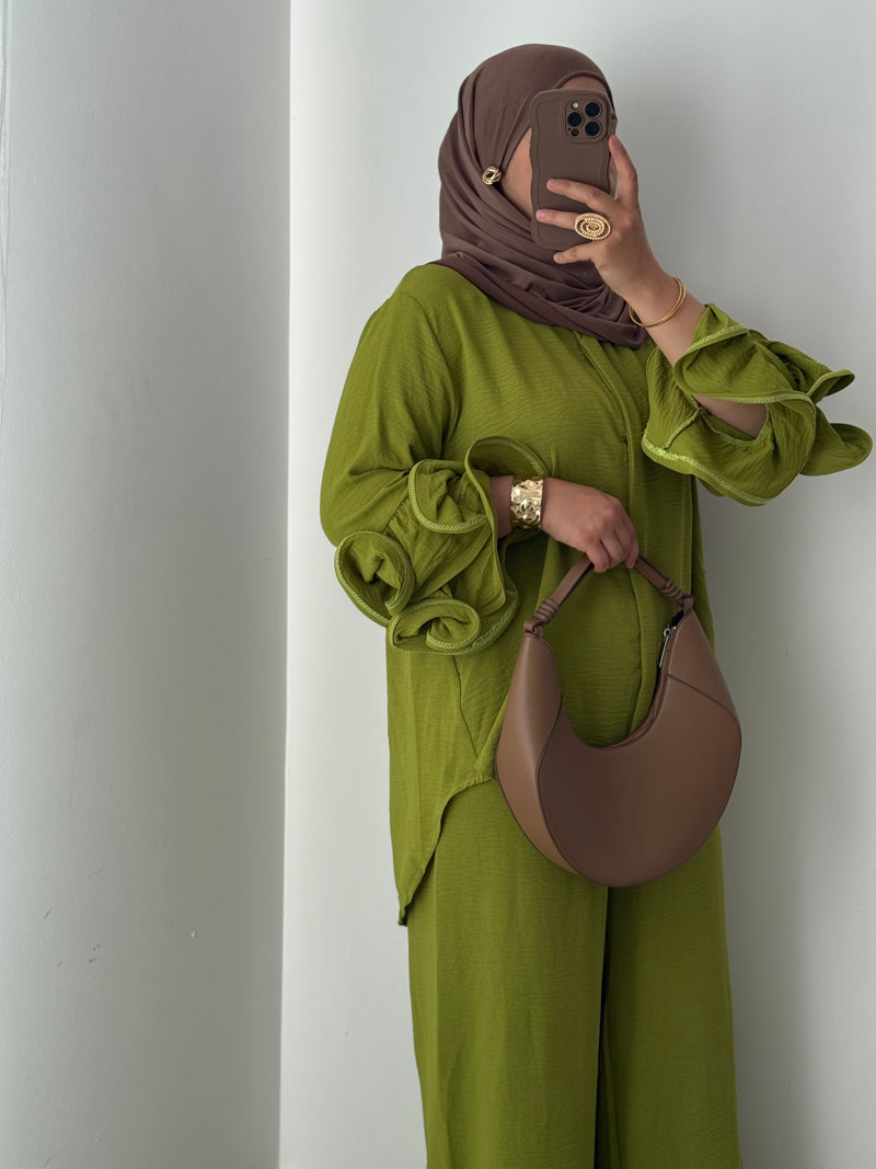 Ensemble LAIA-VERT ANIS