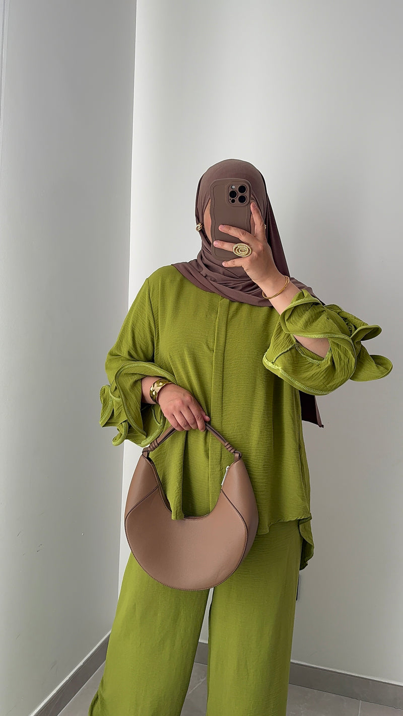 Ensemble LAIA-VERT ANIS