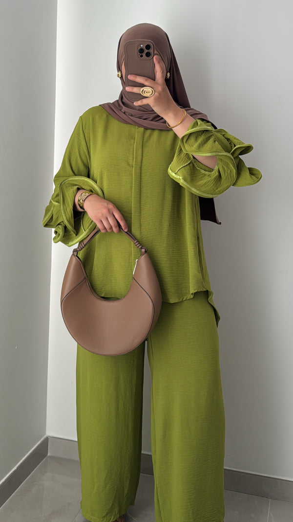 Ensemble LAIA-VERT ANIS
